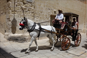 Mdina